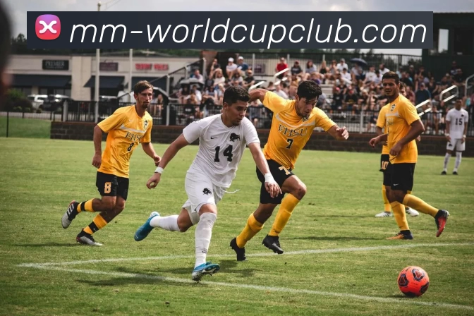 多媒体互动体验